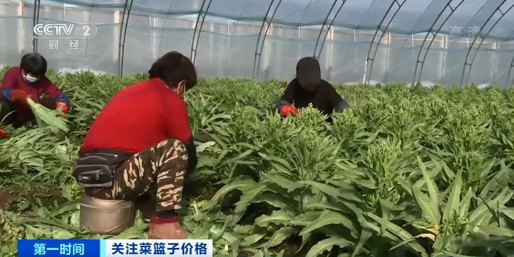 PE波紋管 第224頁