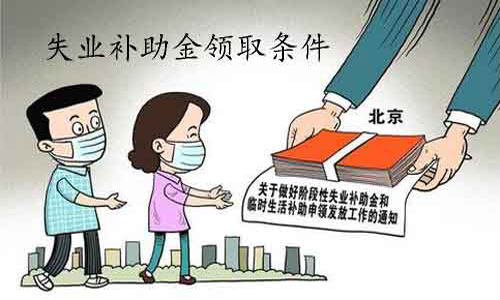 失業(yè)補助最新政策解析，影響與展望，觀點闡述