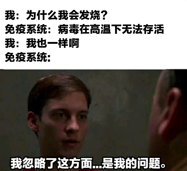 流行文化熱點，最新梗梗討論與趨勢分析