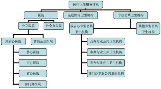 最新衛(wèi)生體系論述概覽