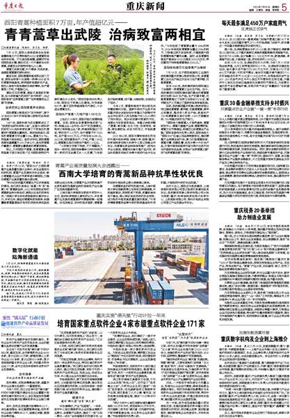 通海最新報(bào)業(yè)，探索新聞前沿，傳遞地方聲音的力量