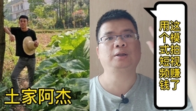 阿烽視頻最新,阿烽視頻最新，學(xué)習(xí)觀看與參與互動(dòng)的步驟指南