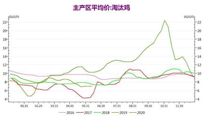 蛋雞淘汰行情深度解析，小巷中的鮮味探索