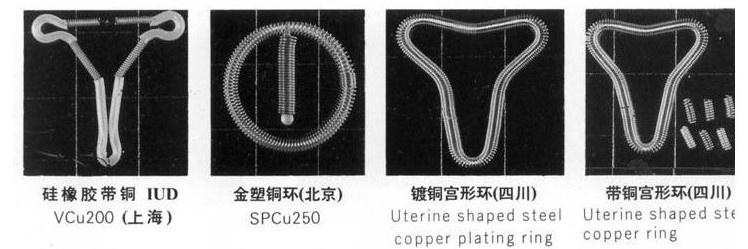 多元視角解讀，最新環(huán)的種類圖片大全