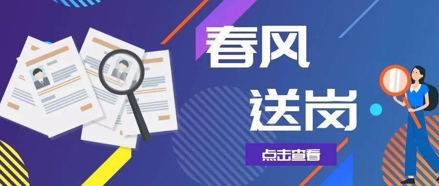 浙江余姚最新招聘信息全面解析與觀點論述